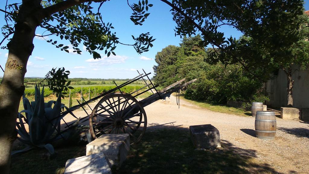 Chateau Le Vergel Authenac Ginestas Номер фото